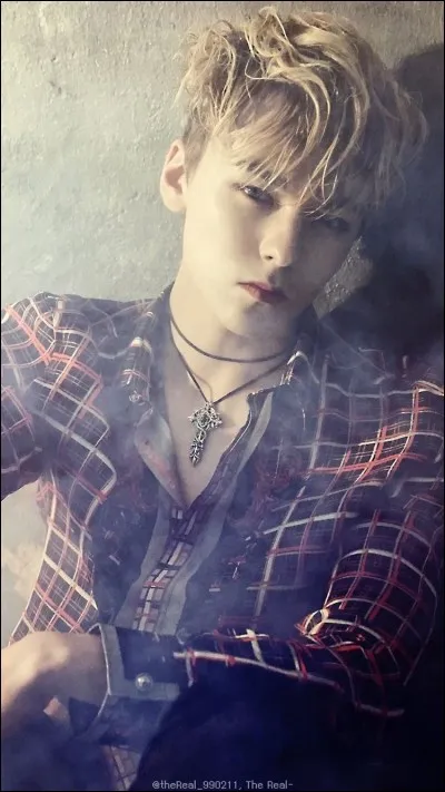 Qui était en duo avec Vernon dans la chanson "Rocket" ?