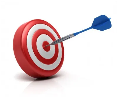 Quel est ton objectif dans la vie ?