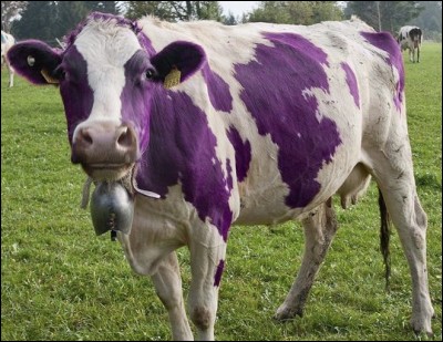 Dans quelle marque cette vache violette apparaît-elle ?