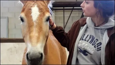 Qui est le chouchou de Sonia ?