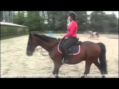 Quel cheval Wendy a-t-elle en DP ?