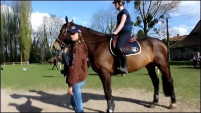 Comment s'appelle leur amie qui vient souvent dans leurs vidéos ?