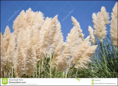 Qui est l'actuel lieutenant ?