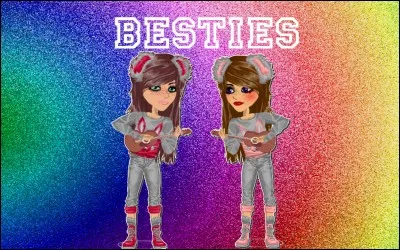 Que peut-on créer sur MSP ?