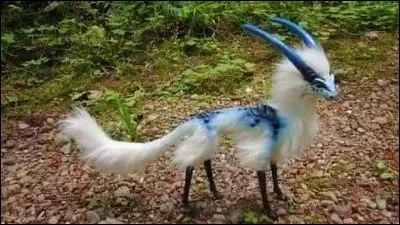 Quel est ton animal préféré ?