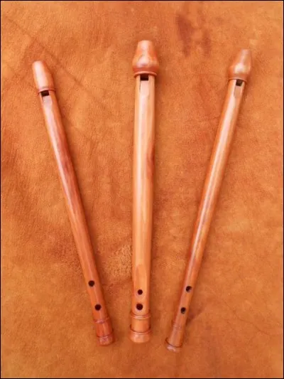 Comment s'appelle cet instrument ?