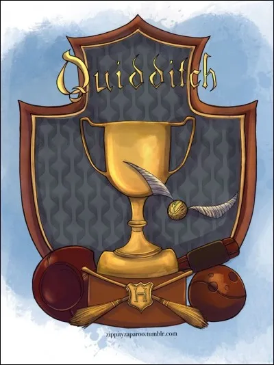 Que pratiquent les élèves de Poudlard ?