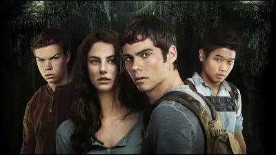 Qui dit "Si tu y comprends quelque chose, je veux bien m'agenouiller et te baiser les pieds." ?