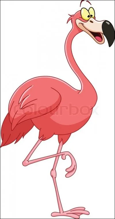 Les flamants roses sont roses...
