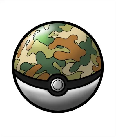 Quelle est cette Pokéball ?