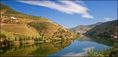 Le Douro, long de près de 900 km, se jette dans :