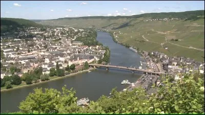 C'est, avec ses 540 km, le plus long affluent du Rhin. Quel est ce cours d'eau ?