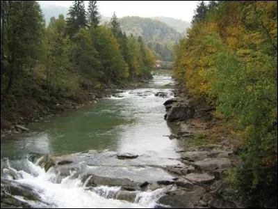 La Tisza et le Prout, longs chacun de 950 km, sont affluents d'un même fleuve : lequel ?