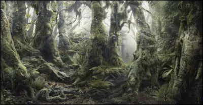 Combien d'animaux contient cette peinture ?