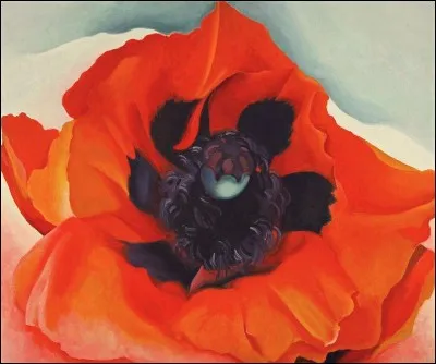 Qui a peint "Coquelicot" ?