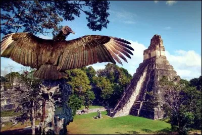 Dans quel pays le site de Tikal est-il situé ?