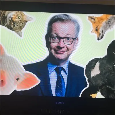 Qu'est-ce que "loco" veut dire en français ?