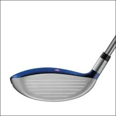 De quel type de club s'agit-il sur l'image ?