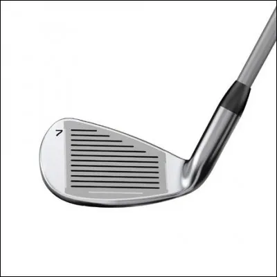 Par conséquent, que représente cette image ?