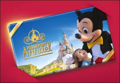 Combien de pass annuels Disney existe-il au sein du complexe ?