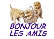 Test Quel est ton don ?