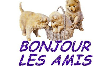 Quiz Test de personnalité