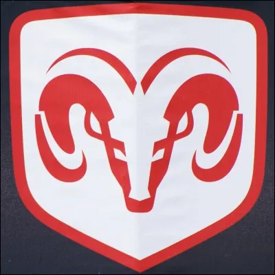 À qui appartient ce beau bélier ?