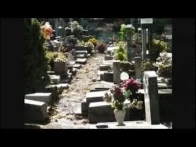 Quelle est la bonne date : "Comme un chien dans un cimetière le ..." ?