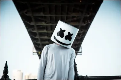 Trouve le mot qui ne correspond pas à Marshmello.