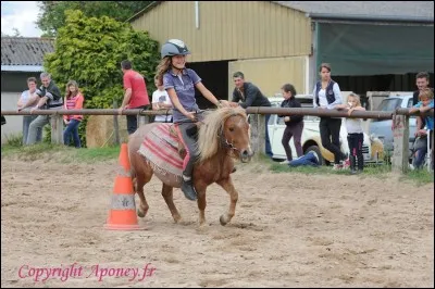 Quel exercice appelle-t-on "le slalom" ?