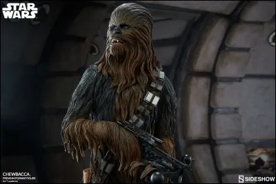 Comment Han Solo a-t-il rencontré Chewbacca ?
