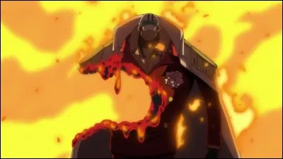 Quel est le surnom d'Akainu ?