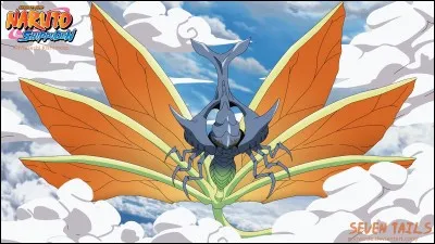 Quel est le nom de ce biju ?