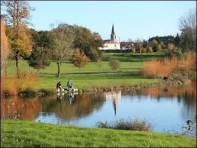Je vous propose de vous d&eacute;tendre au parc des Ouches, &agrave; Martinet. Commune des Pays-de-la-Loire, dans l'arrondissement des Sables-d'Olonne, elle se situe dans le d&eacute;partement ...
