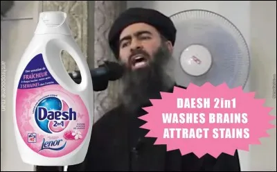 En quelle année l'Etat Islamique (Daesh) commenca-t-il à faire parler de lui ?