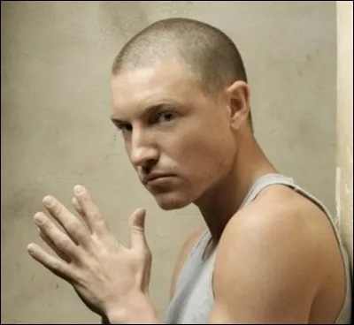 Dans quelle cellule David Apolskis a-t-il été transféré par le capitaine Bellick pour lequel il a joué les espions ?