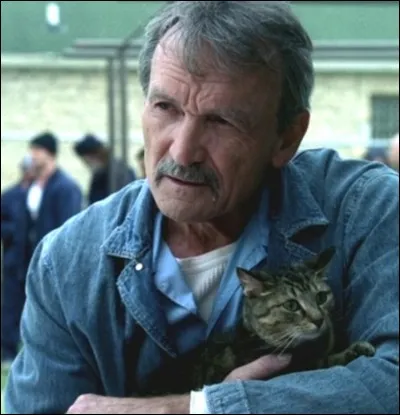 Comment se nomme le chat de Charles Westmoreland ?