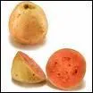 En anglais : (goyave)