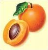 Quiz Fruits