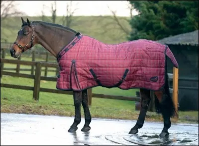 Pourquoi met-on parfois une couverture sur un cheval ?
