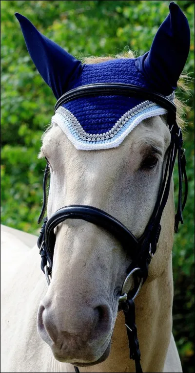 Quelle est l'utilité d'un bonnet pour cheval ?