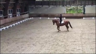 En dressage, comment appelle-t-on un "parcours" à reproduire ?