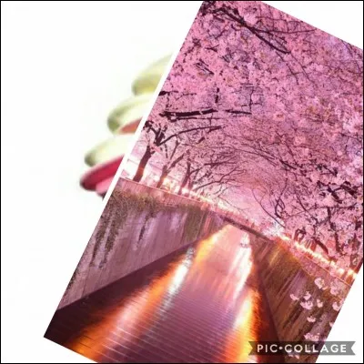 Idéal pour l'été !