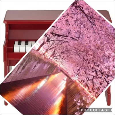 Ta mélodie semble plus douce comme on le dit.