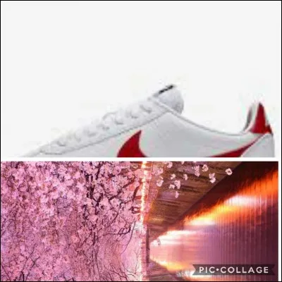 Aujourd'hui, c'est la randonnée, j'espère que vous avez mis des chaussures adaptées.