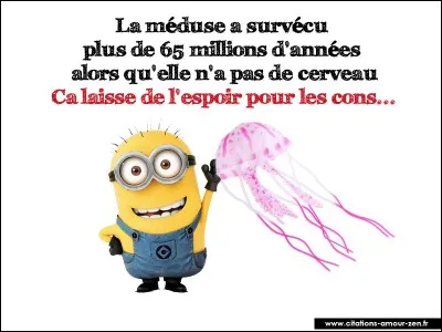 Quelle faculté unique possède la méduse 'Turritopsis Nutricula' ?