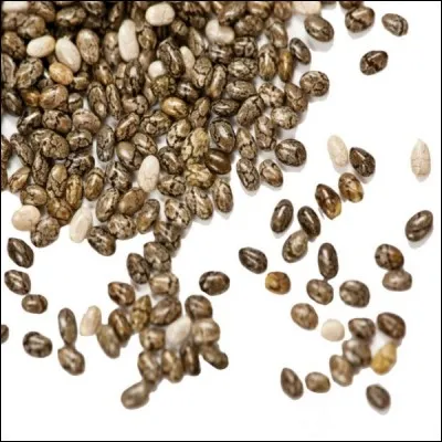 On a pu faire germer des graines datant de 2000 ans.