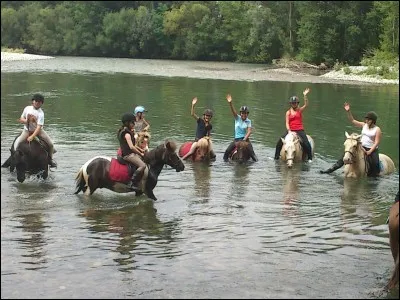 Les activités .
Quelles sont les activités que nous pouvons faire avec le cheval ?