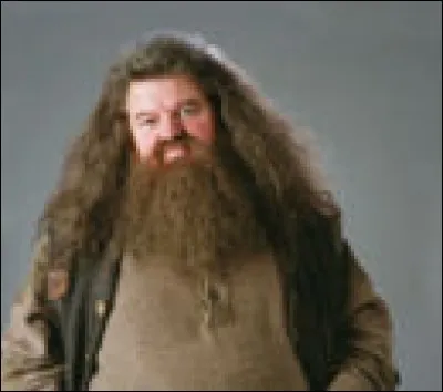 Comment se nomme ce professeur ?