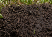 Quiz Le sol, un patrimoine durable